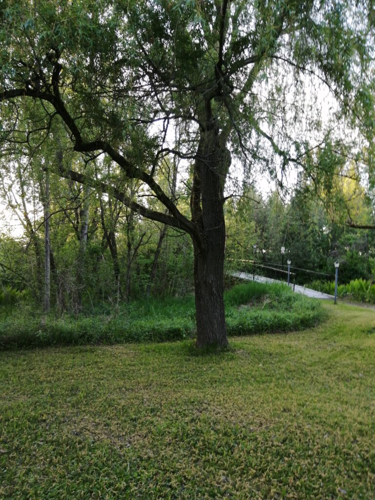 IMG_20210522_193729